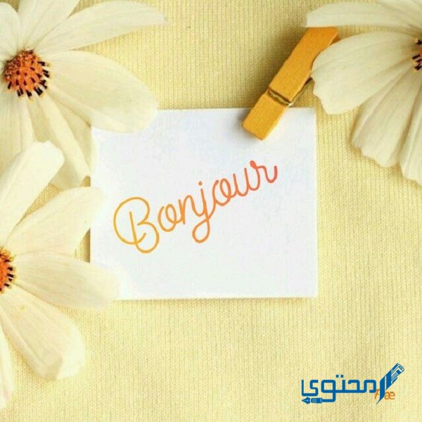 الرد على بونجور بالفرنسي