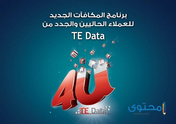 برنامج مكافأة تي إي داتا فور يو 4U وخطوات الاشتراك به