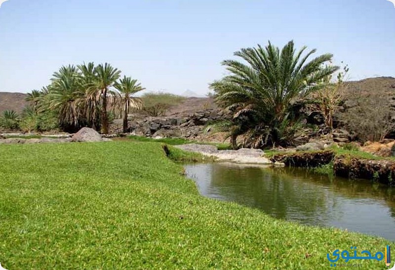 معالم وادي خضرة