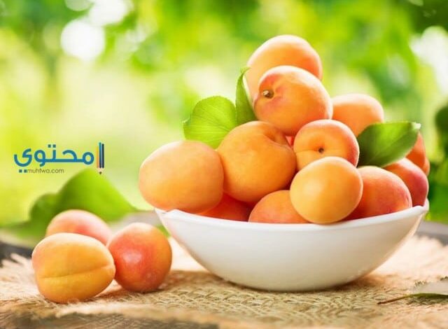 تفسير اكل المشمش في المنام لابن سيرين والنابلسي