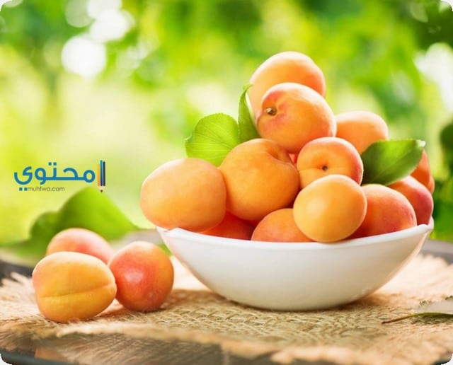 المشمش فى المنام