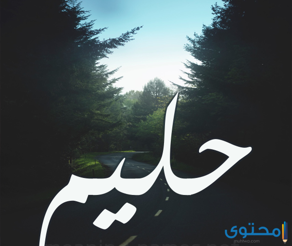 معني اسم حليم