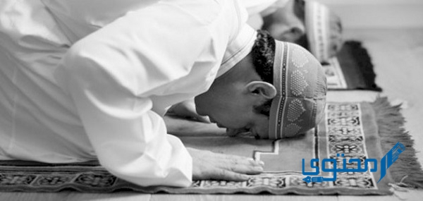 متى فرضت الصلاة في السماء؟