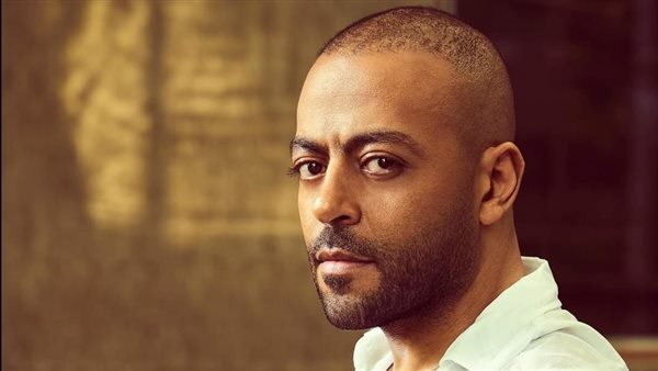 من هو تامر عاشور