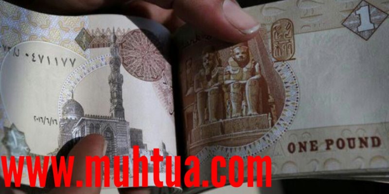 أعلى عائد بالجنية المصري