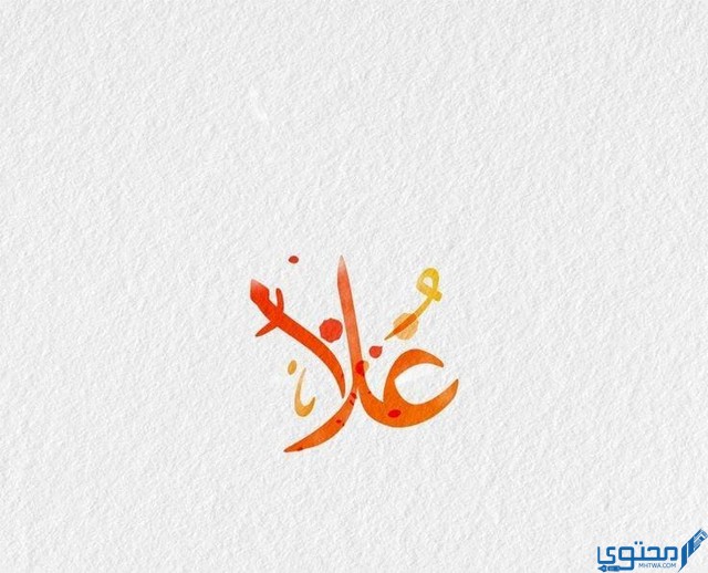 معنى اسم علا