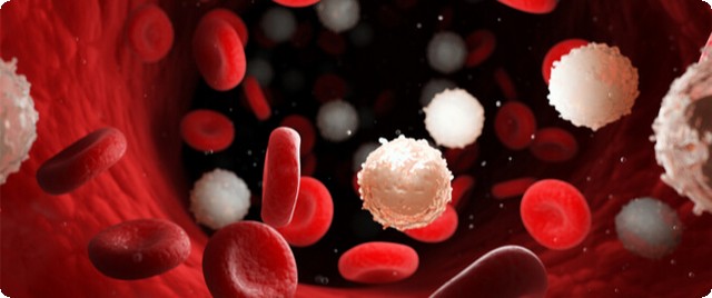 حقن دونامايسين