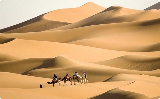 الخليوي وش يرجعون