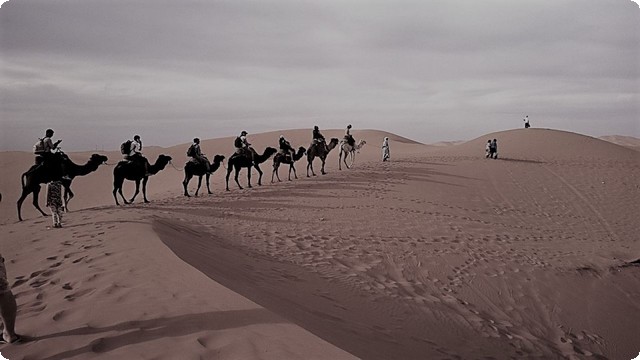 الزغبي وش يرجع