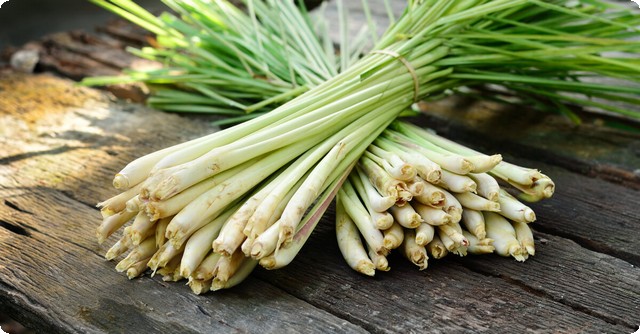 فوائد الاذخر جابر القحطاني