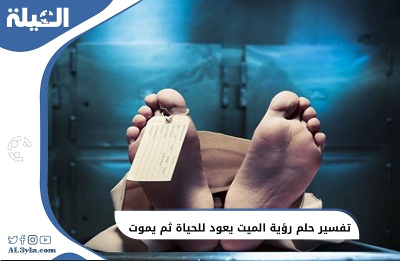 تفسير حلم رؤية الميت يعود للحياة ثم يموت