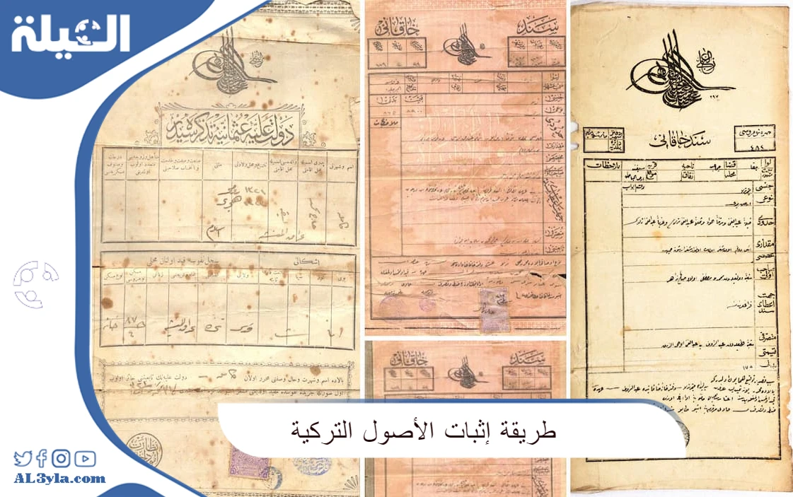طريقة إثبات الأصول التركية