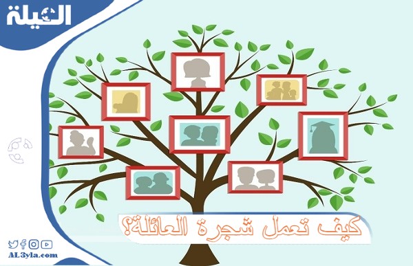 كيف تعمل شجرة العائلة؟