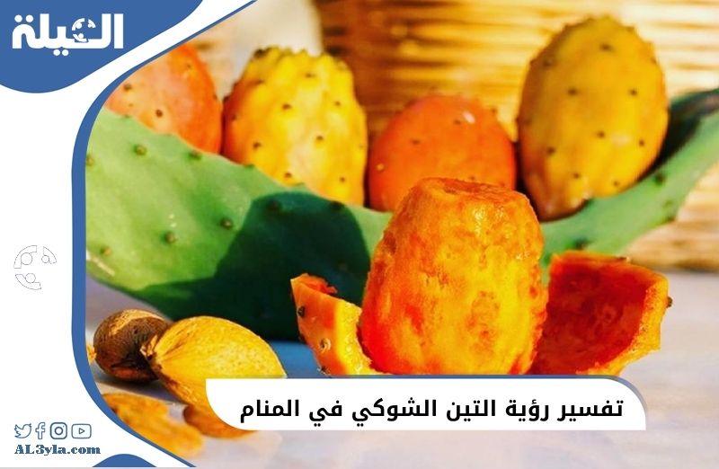 تفسير رؤية التين الشوكي في المنام