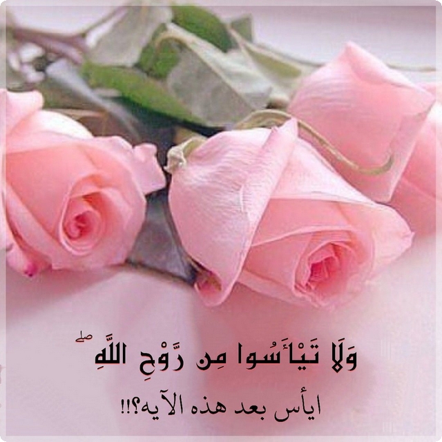 رسائل من القرآن