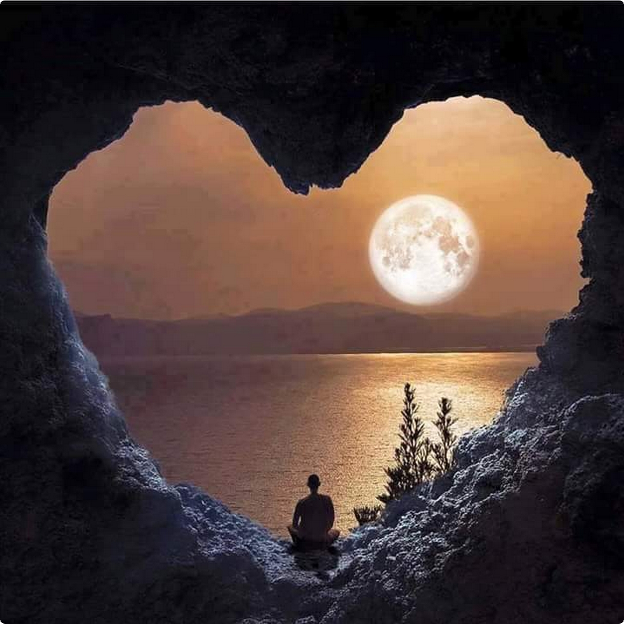 تصاميم صور بروفايل