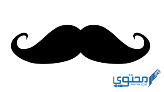 أقوال عن الرجولة والشهامة