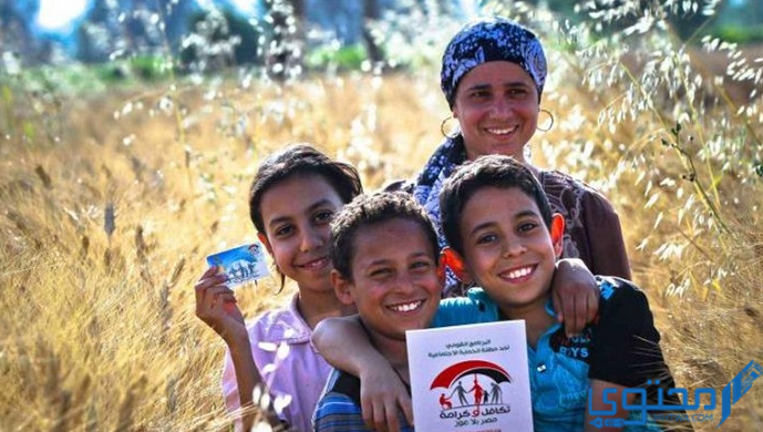 شرح الاستعلام عن تكافل وكرامة بالرقم القومي 2025 عبر موقع وزارة التضامن الاجتماعي