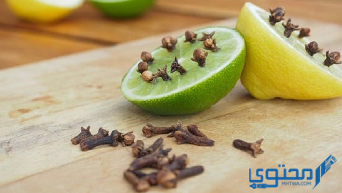 طريقة طرد الذباب بالليمون والقرنفل