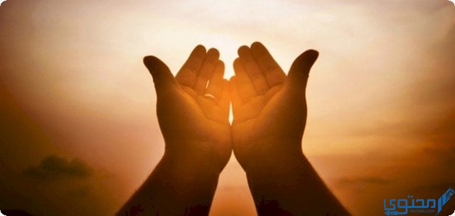 تعريف الشفاعة المثبتة