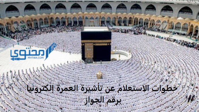 خطوات الاستعلام عن تأشيرة العمرة إلكترونيا برقم الجواز