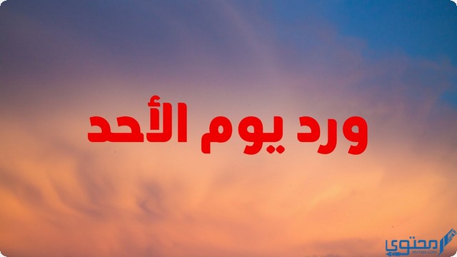 ورد يوم الاحد مكتوب بخط واضح