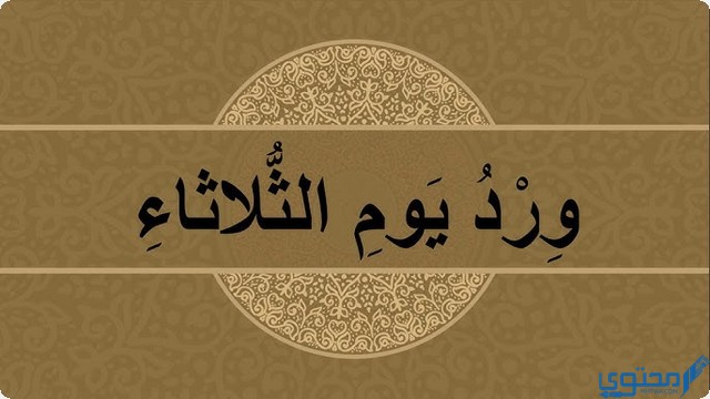 ورد يوم الثلاثاء