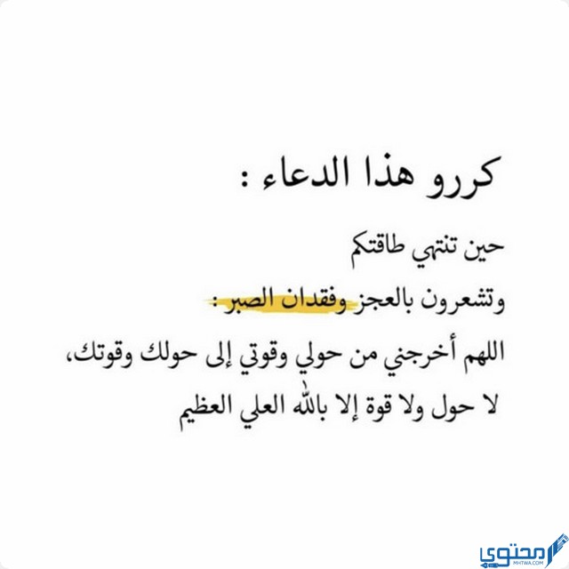 ورد يوم السبت