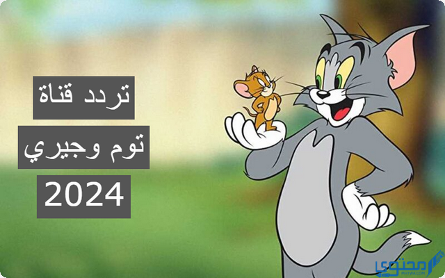 قناة توم وجيري