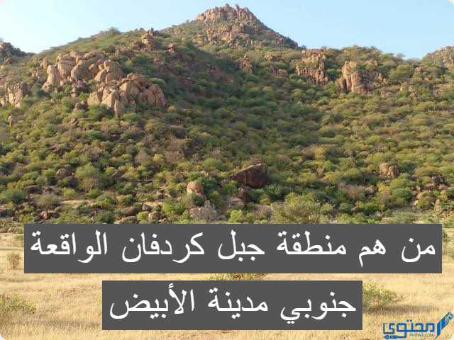 منطقة جبل كردفان