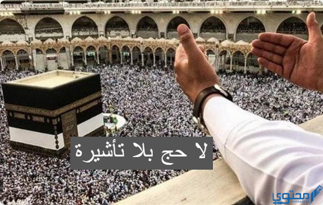 وزارة الحج السعودية