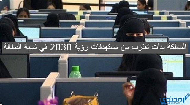 وزير المالية