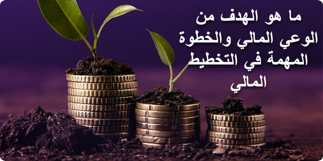 الوعي المالي