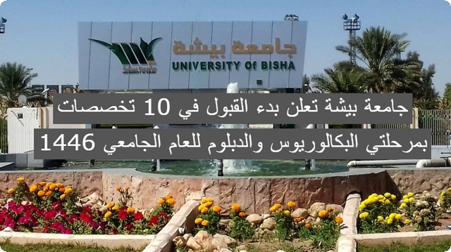 جامعة بيشة