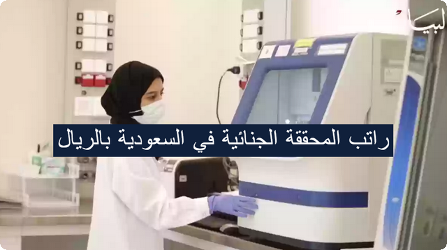 راتب المحققة الجنائية