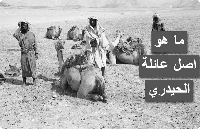 عائلة الحيدري