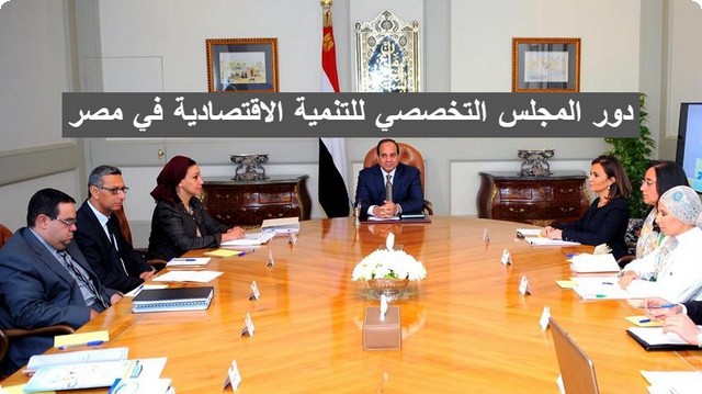 دور المجلس التخصصي للتنمية الاقتصادية