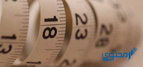 في إحدى الأيام التي كان يراقب يوسف