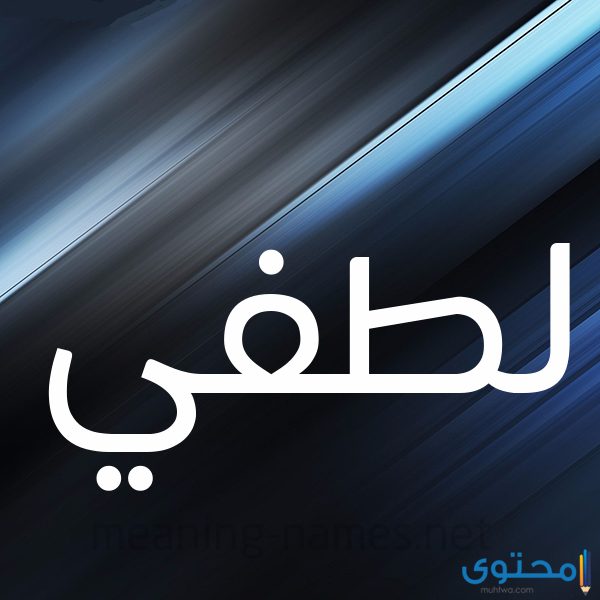 معنى اسم لطفي