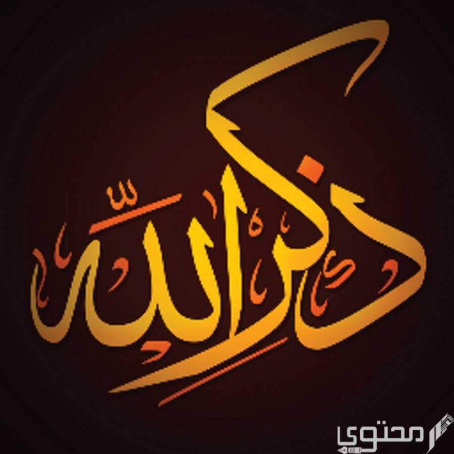 تجربتي في ذكر الله