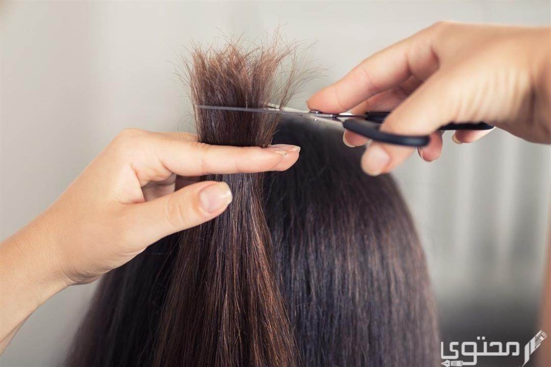 تجربتي مع قص أطراف الشعر