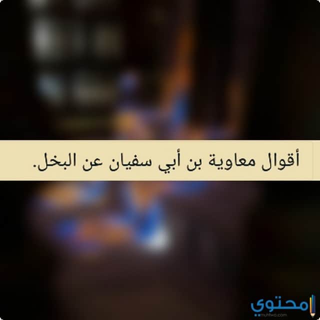 أقوال معاوية بن أبي سفيان عن البخل