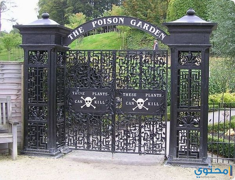 حديقة السموم القاتلة في بريطانيا