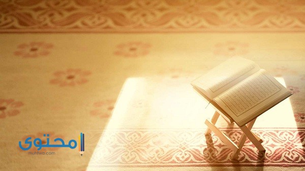 آيات عن النجاح في العمل وأهمية إتقانه