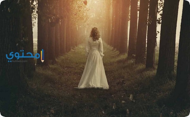 الضياع في الحلم