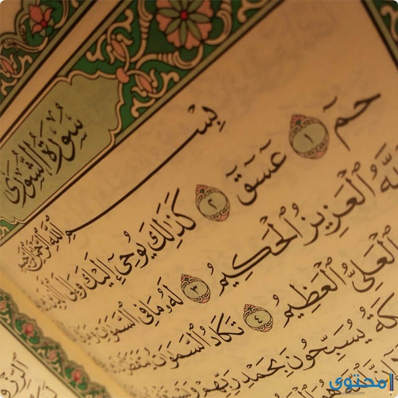 مقاصد سورة الشورى