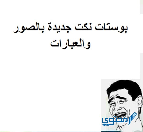 بوستات نكت جديدة