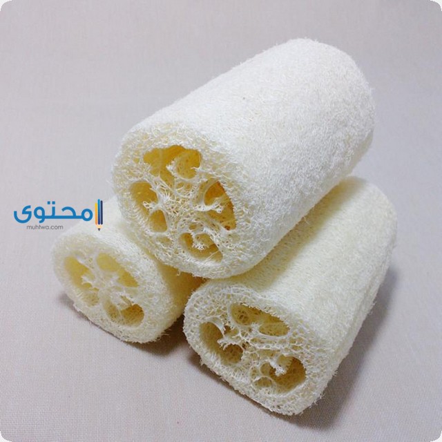 الليفة في المنام