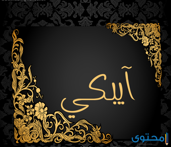 معني اسم آيبكي