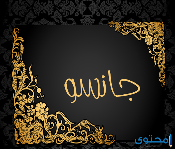 معني اسم چانسو